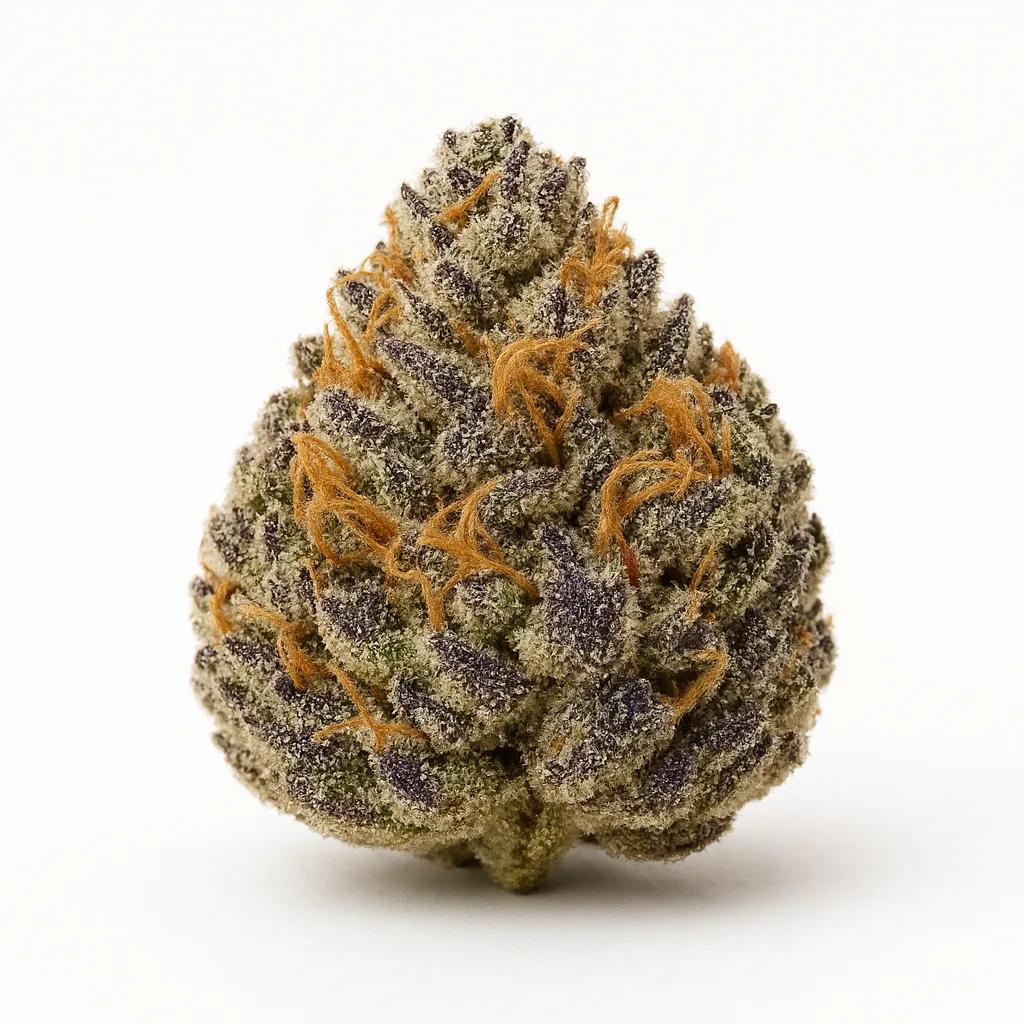 Royal Apple B