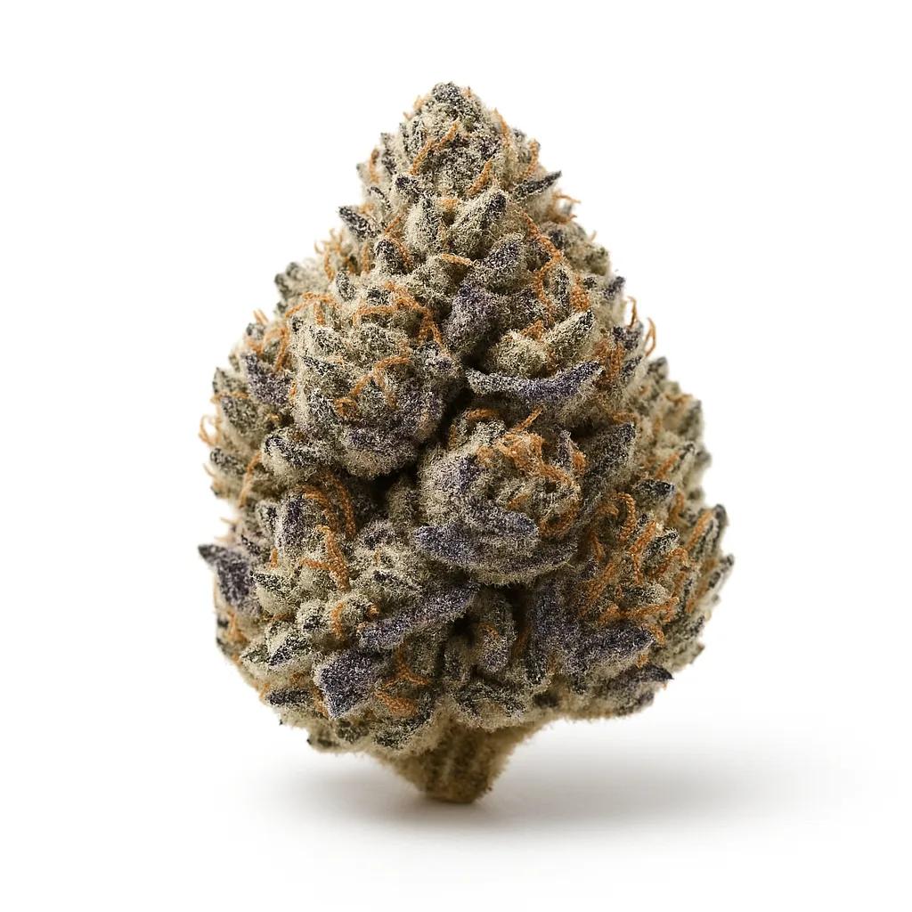 Blueberry Muffin B